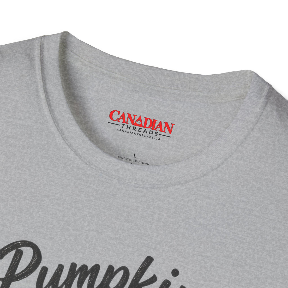 Pumpkin Spice Sorry We Have Maple T-Shirt