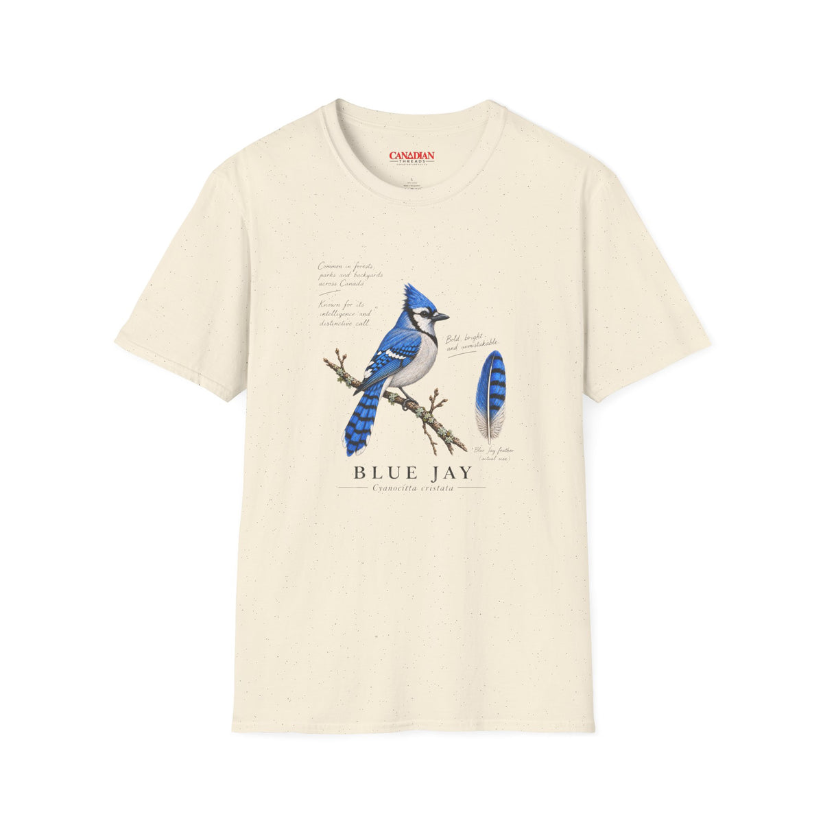 Blue Jay Bird T-Shirt