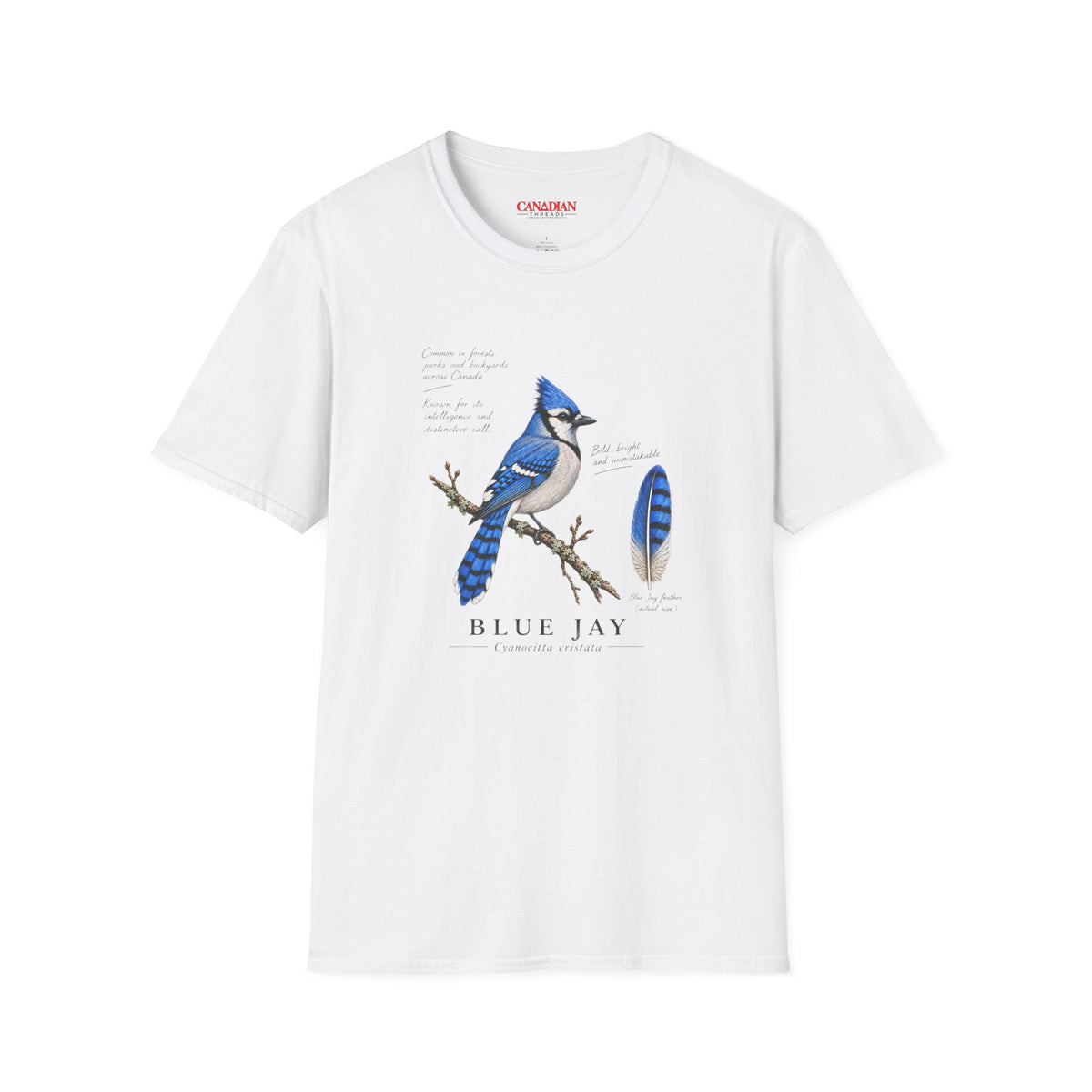 Blue Jay Bird T-Shirt