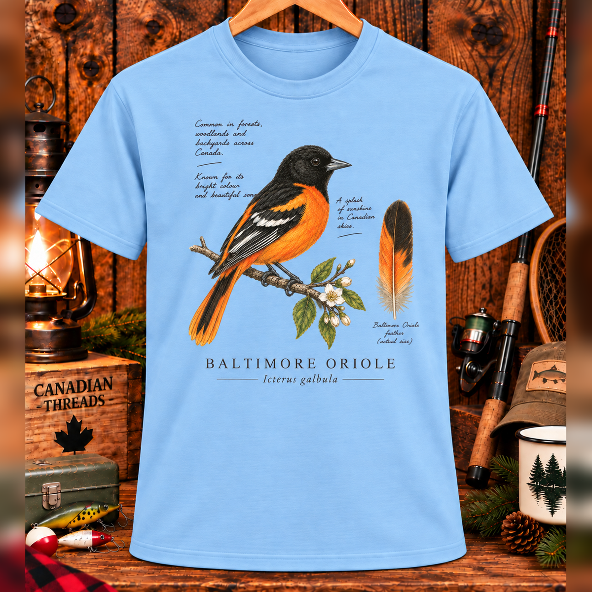Baltimore Oriole Bird T-Shirt