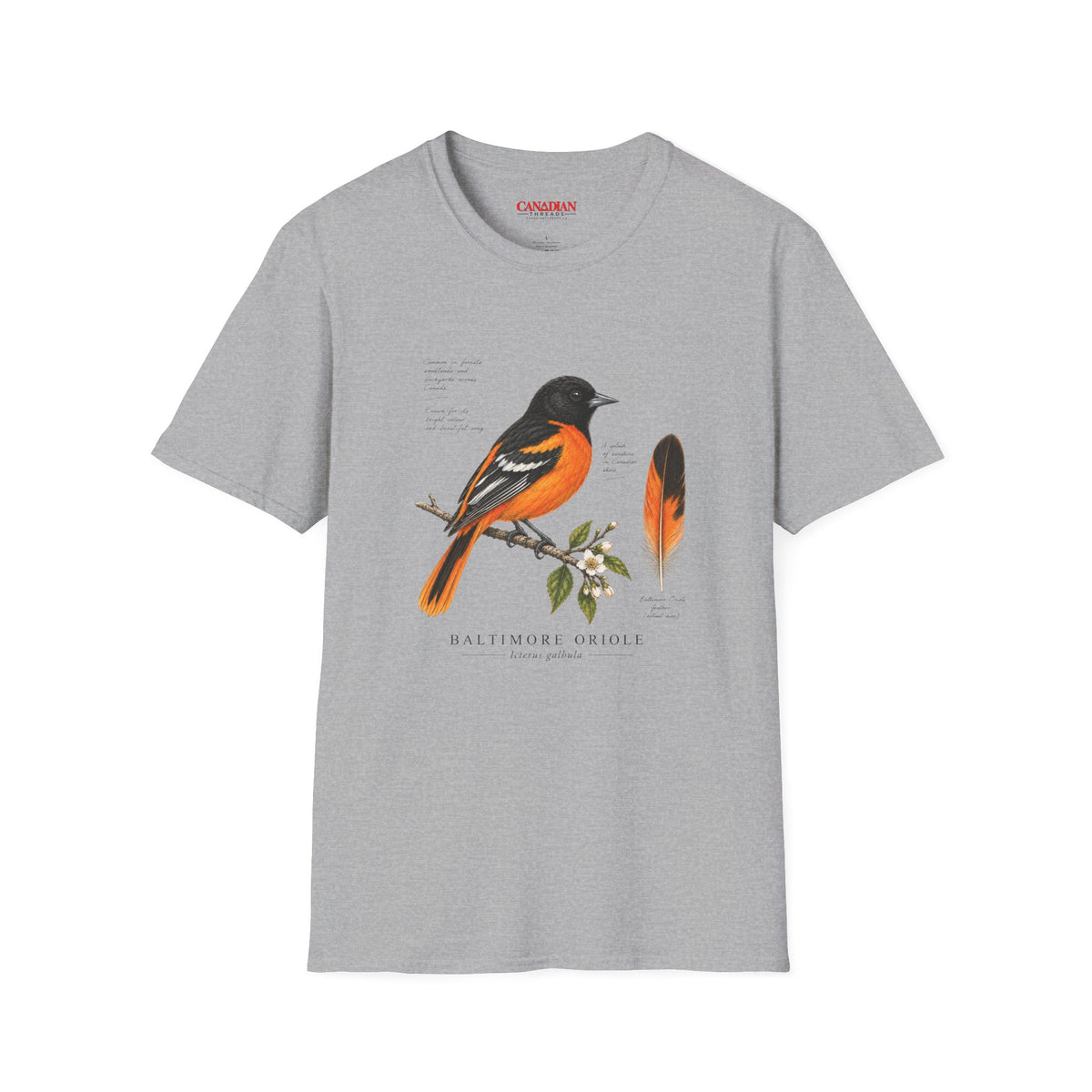 Baltimore Oriole Bird T-Shirt