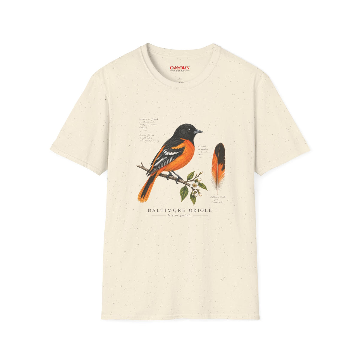 Baltimore Oriole Bird T-Shirt