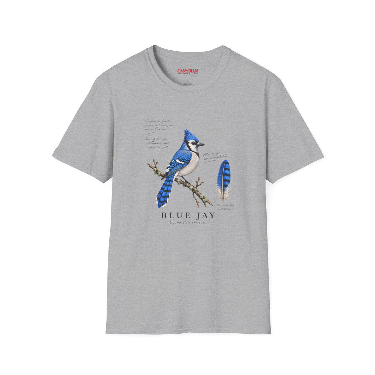Blue Jay Bird T-Shirt