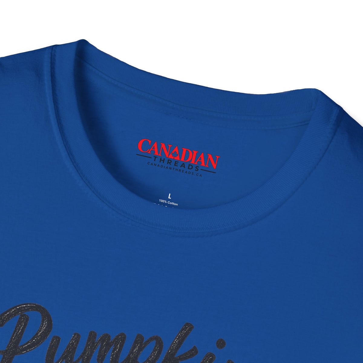 Pumpkin Spice Sorry We Have Maple T-Shirt