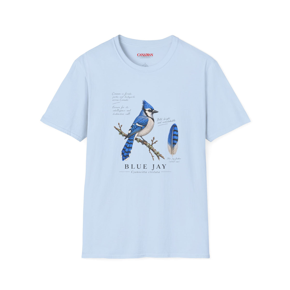 Blue Jay Bird T-Shirt