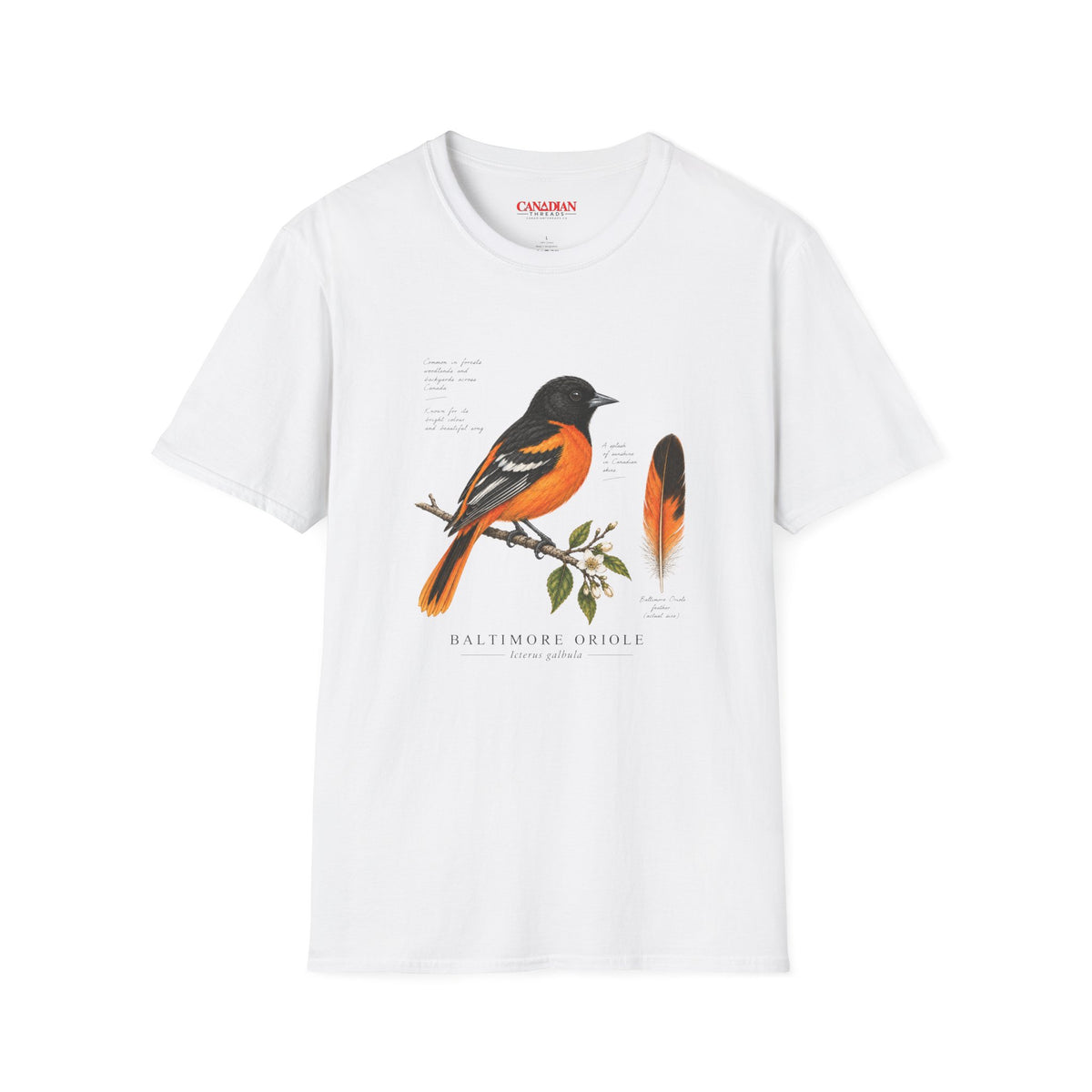 Baltimore Oriole Bird T-Shirt